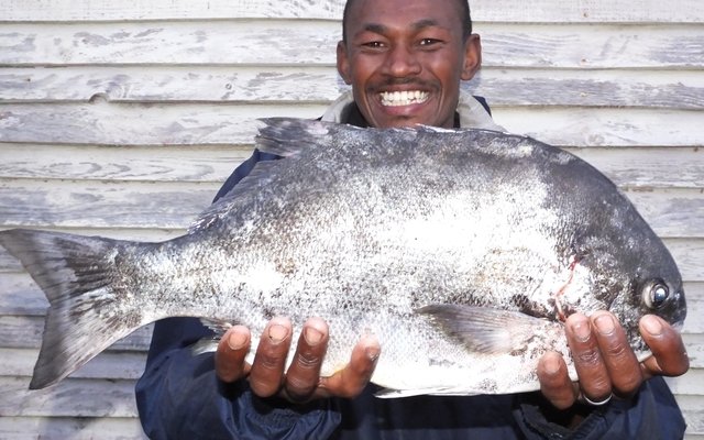 So  net voor die langnaweek het Daniël Jacobs hengelaars gewys daar is nog mooi galjoen te vang. Hy het hierdie knewel van 2,5 kg Saterdag met wonderwurm en 'n nr 2 hoek by Brandfontein gevang.